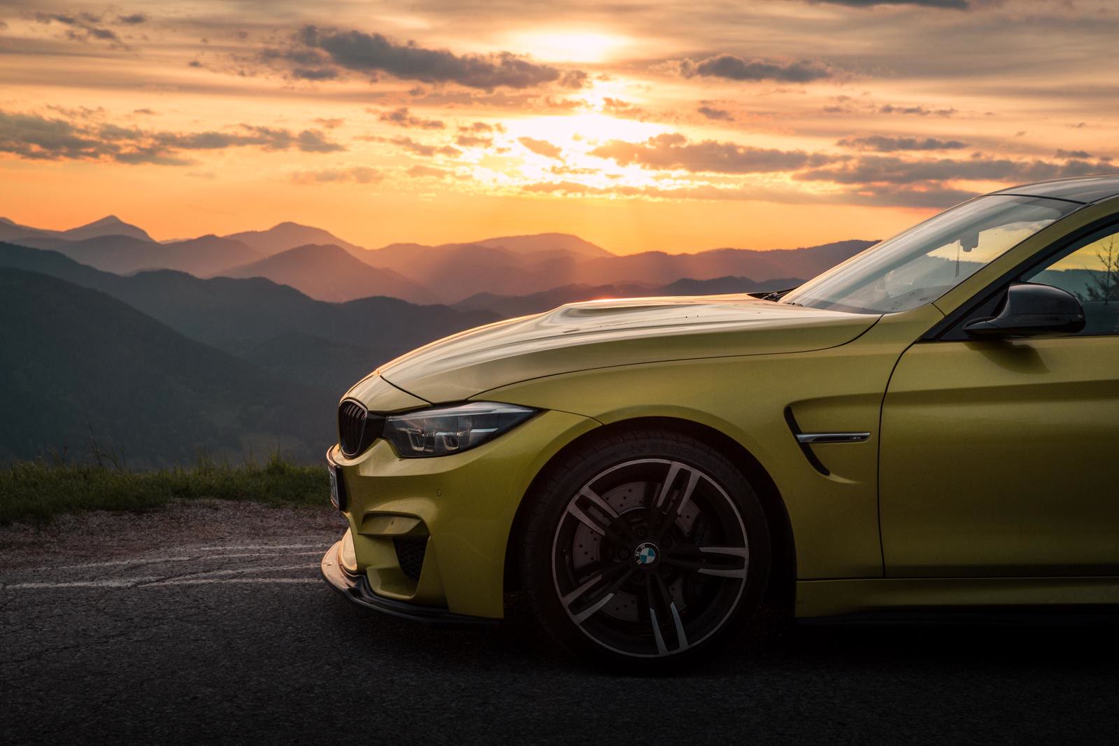 BMW M4 F82 Seite Wald